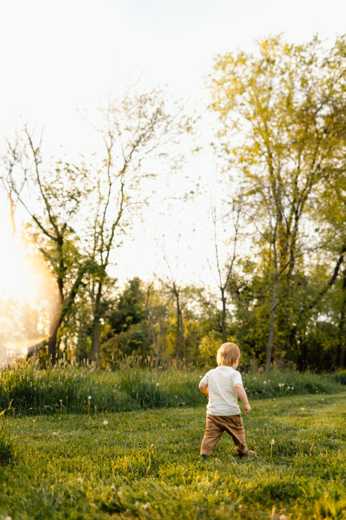 Child walking away in a field, walking towards green grass.